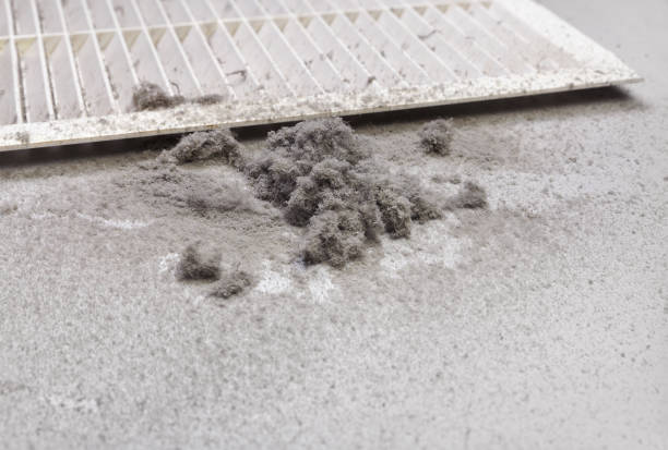 Best HVAC Air Duct Cleaning  in Donna, TX