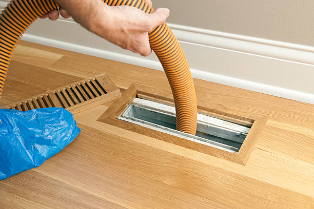 Air Duct Mold Removal in Donna, TX