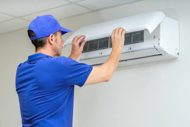 Best Air Duct Mold Removal  in Donna, TX